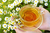 About herbal teas